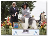 Pennelope Grand Champion Select Morris & Essex